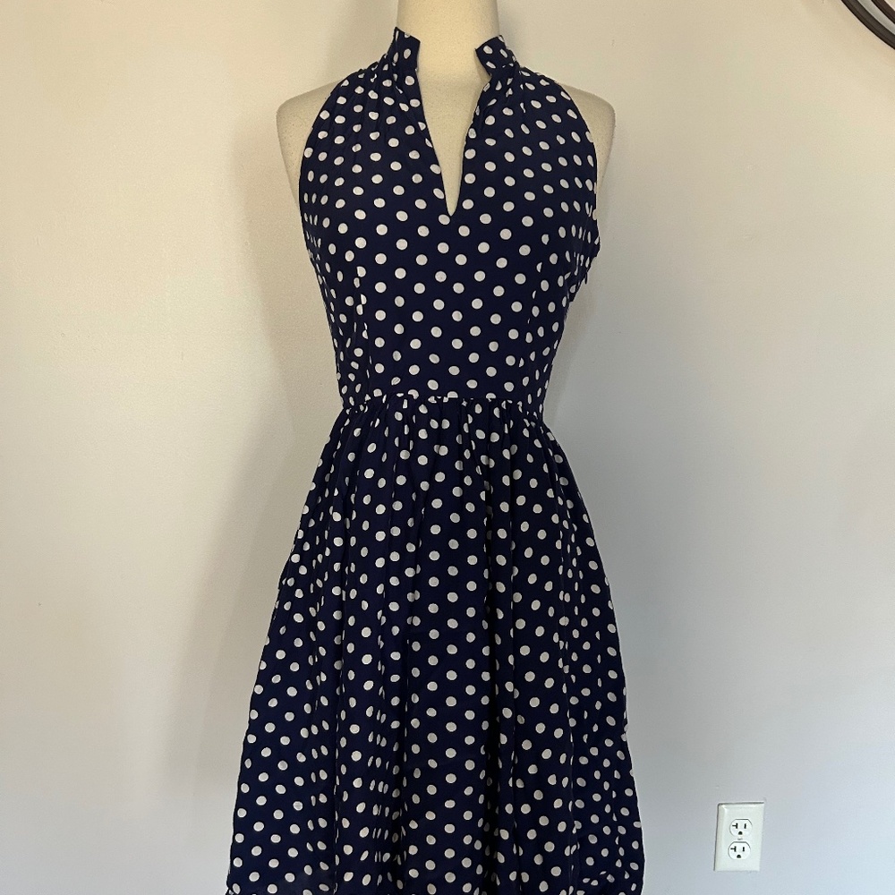 Trashy Diva Big Polka Streetcar Dress